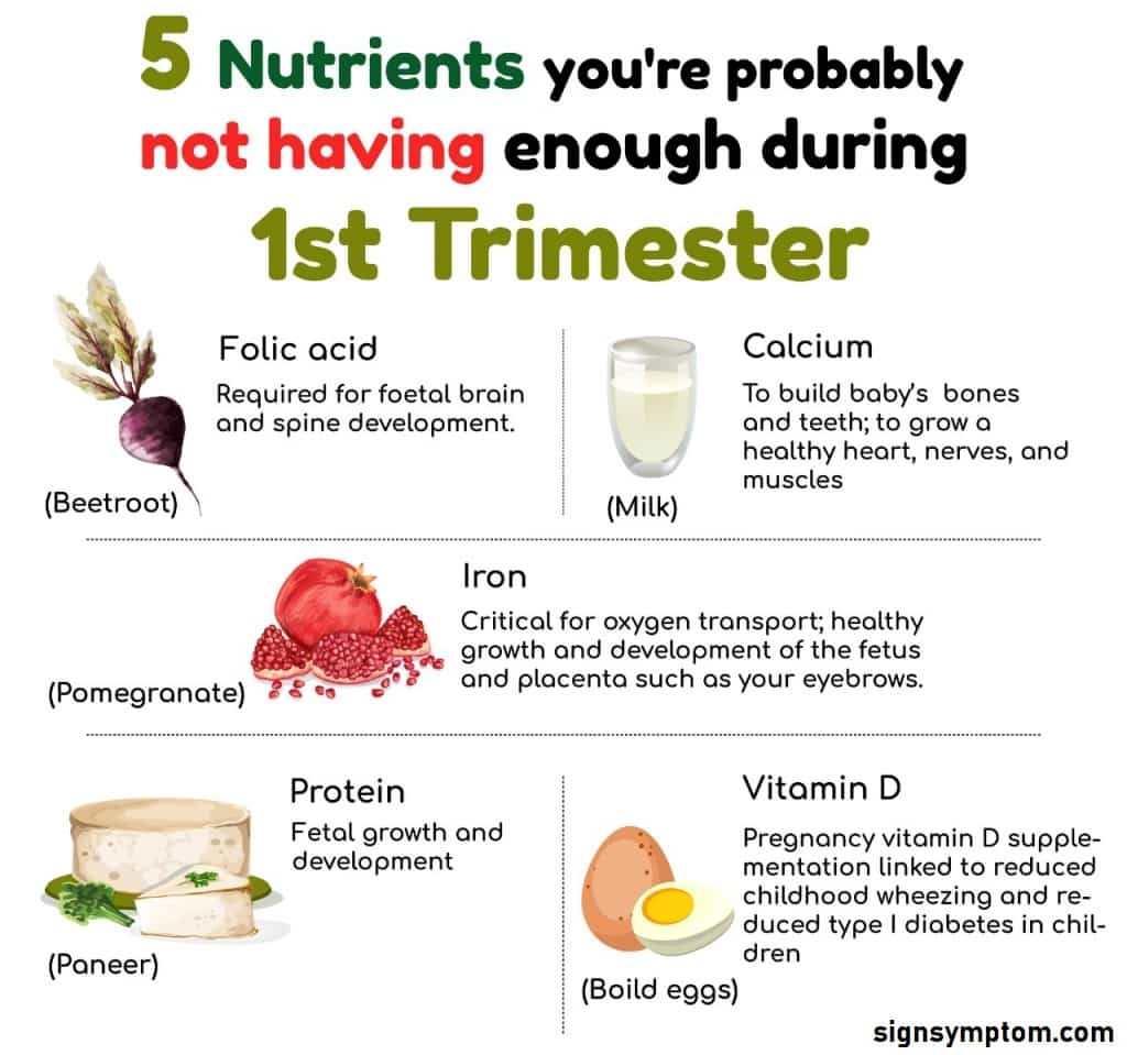 10 Foods to Eat when Pregnant First Trimester Â» Signsymptom.com