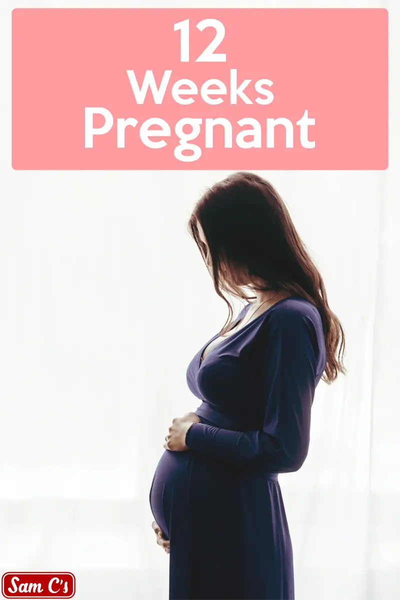 12 Weeks Pregnant: Symptoms, Baby Bump, Tips, and ...