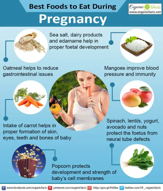 15 Best Foods to Eat During Pregnancy