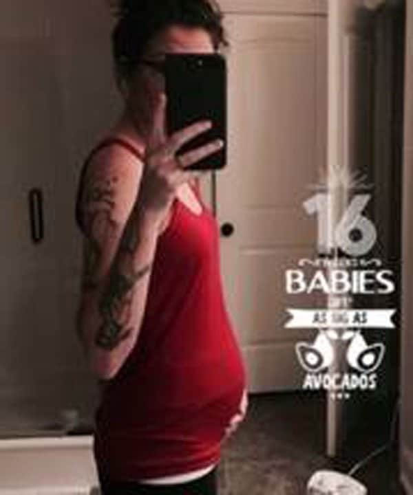 16 Weeks Pregnant With Twins: Symptoms, Belly &  Ultrasound Pictures ...