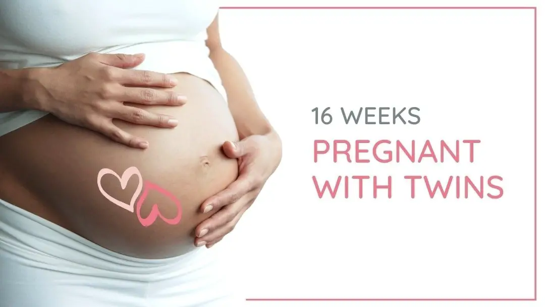 16 Weeks Pregnant with Twins