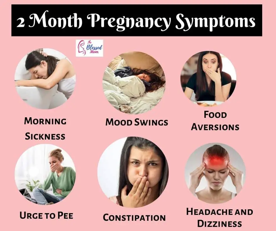 2 Months of Pregnancy Symptoms, Diet &  Development