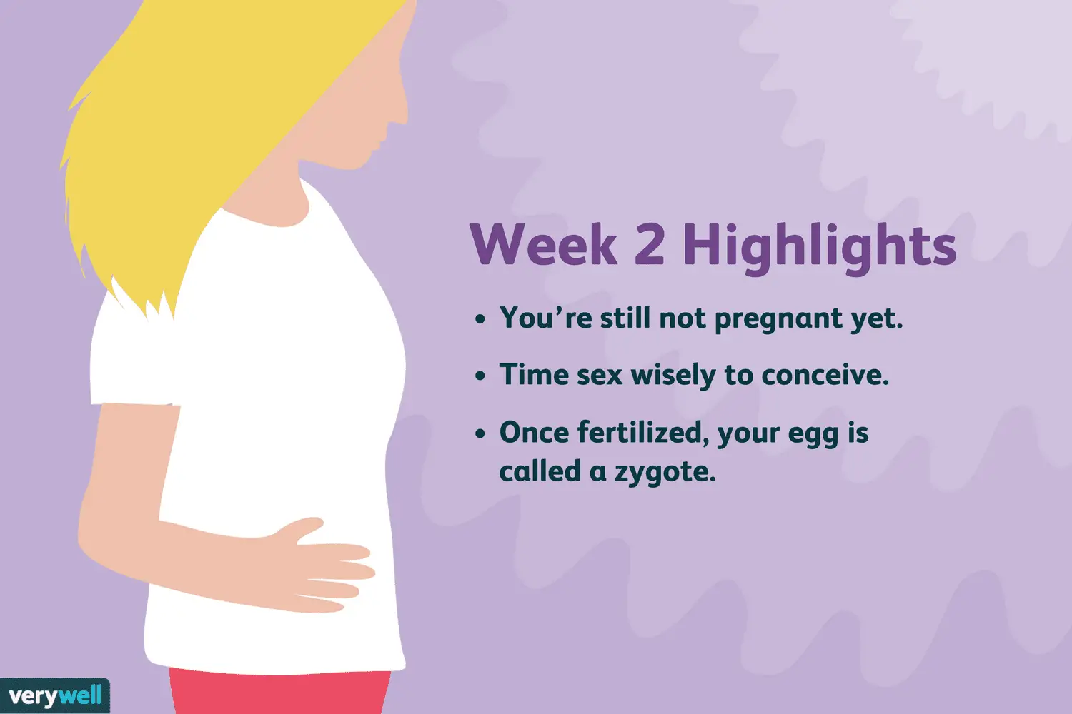 2 Weeks Pregnant: Symptoms, Baby Development, and More