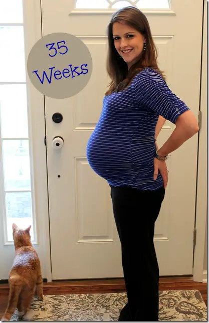 35 Weeks Pregnant Bumpdate