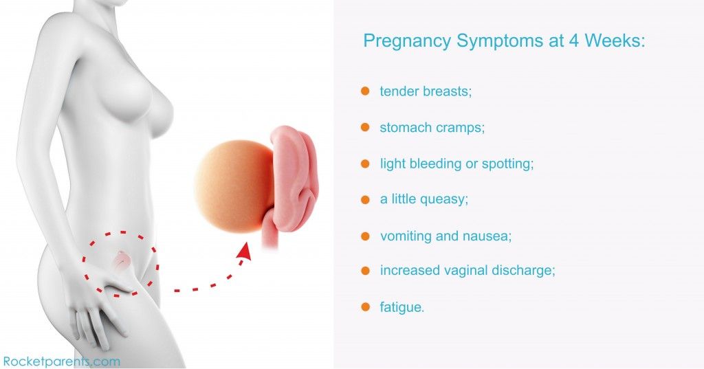 4 Weeks Pregnant: Symptoms. What to Expect at 4 weeks ...