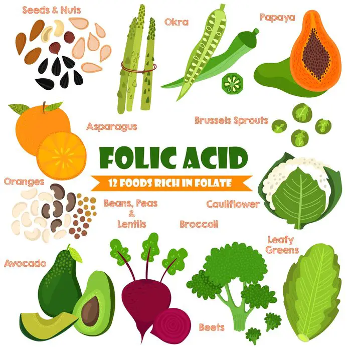 400 micrograms of folic acid every day early in a pregnancy can help ...