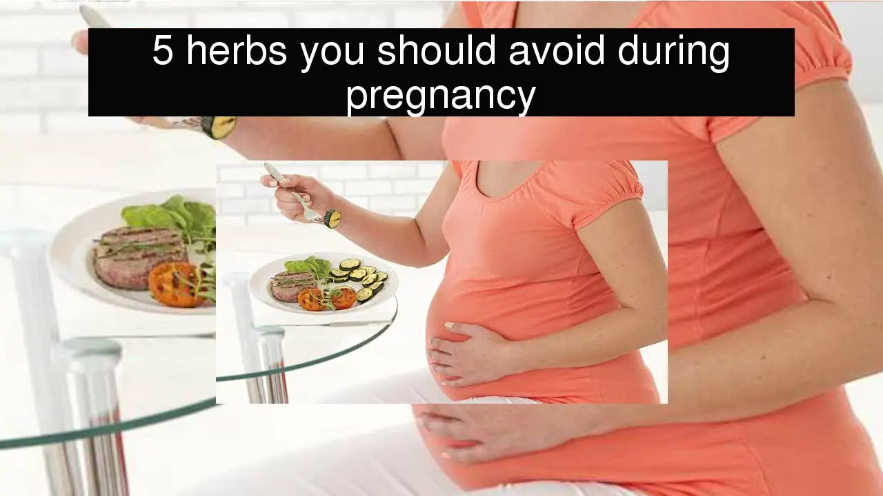 5 herbs you should avoid during pregnancy