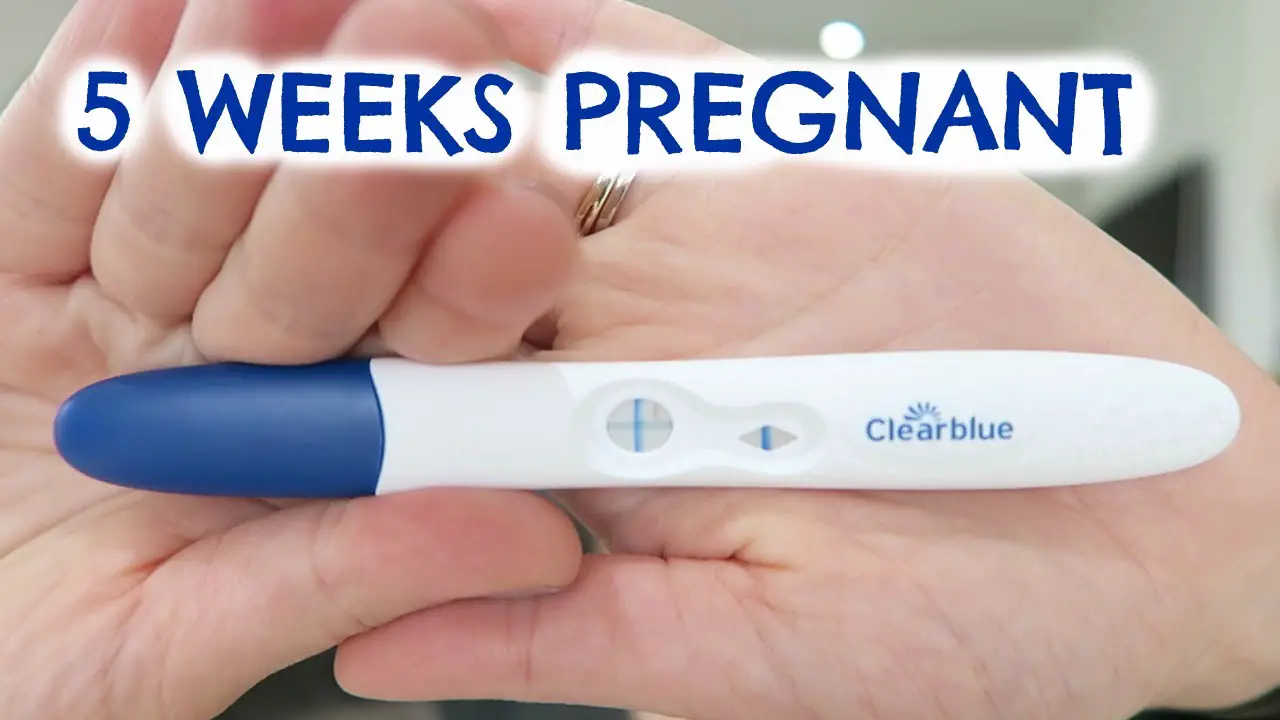 5 WEEKS PREGNANT UPDATE