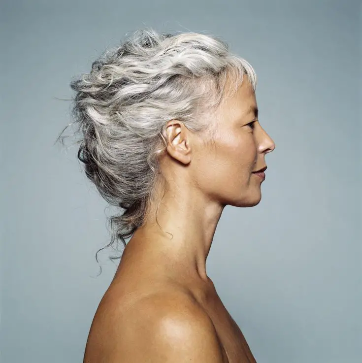 60 Elegant Gray Hair Styles &  Ideas â Beautiful Nature