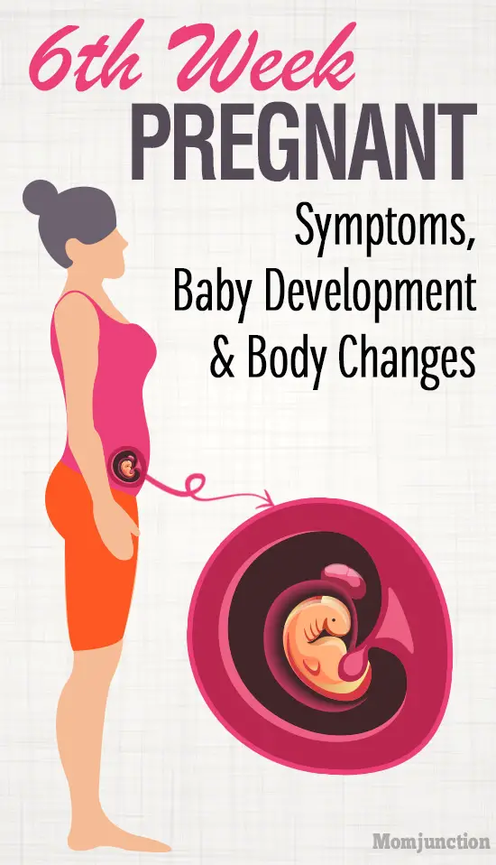 6th Week Pregnancy: Baby Development, Symptoms And Ultrasound