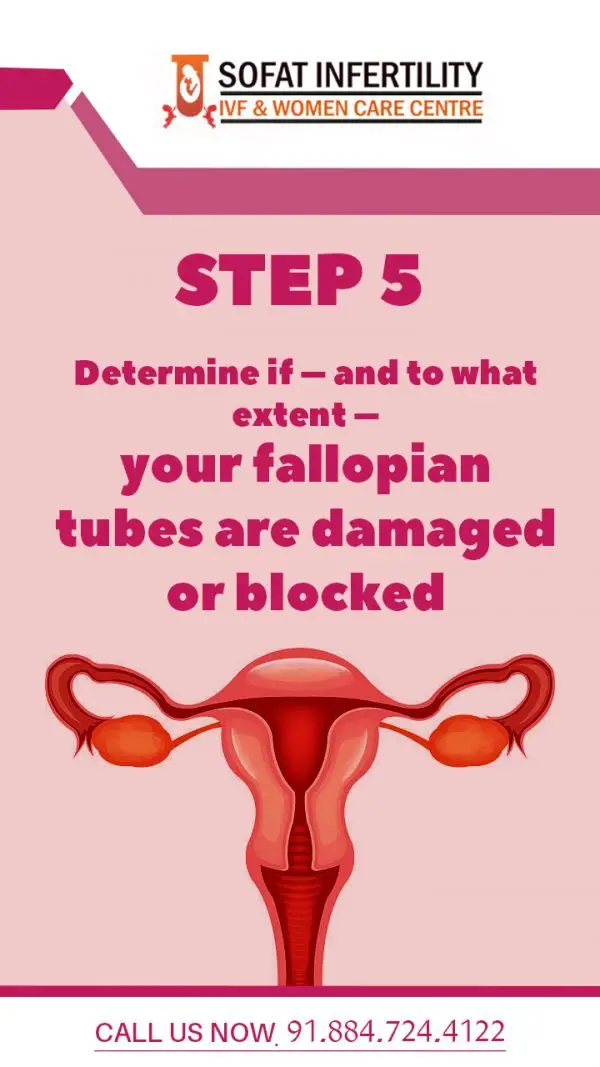 7 Steps: How to Get Pregnant with Blocked Fallopian Tubes Explained ...