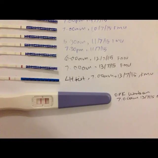 83 PREGNANCY TEST STRIP 2 LINES