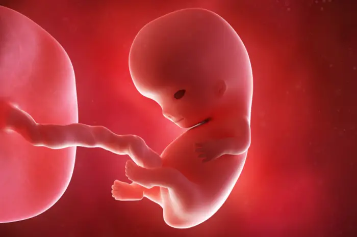 9 weeks pregnant: Symptoms, hormones, and baby development