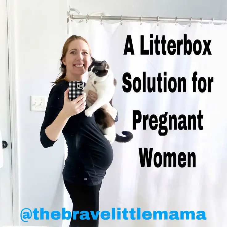 A Litter Box Solution for Pregnant Women