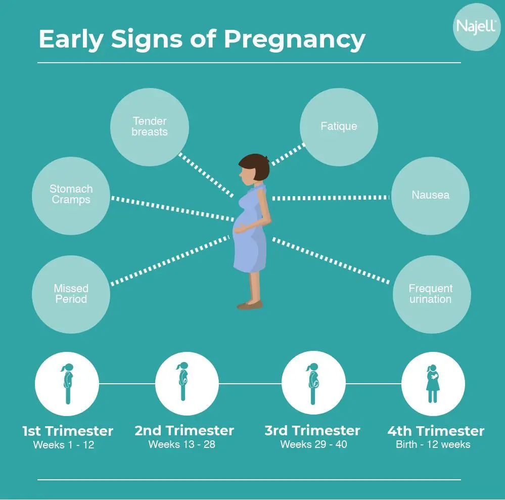 Am I pregnant? The early signs of pregnancy!