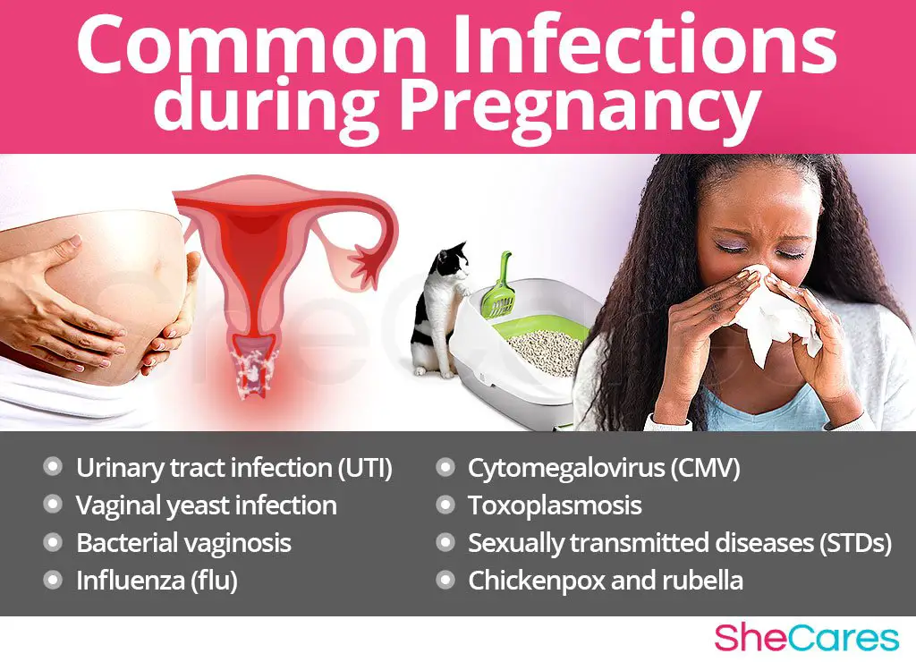 Are Yeast Infections Common In Early Pregnancy ...