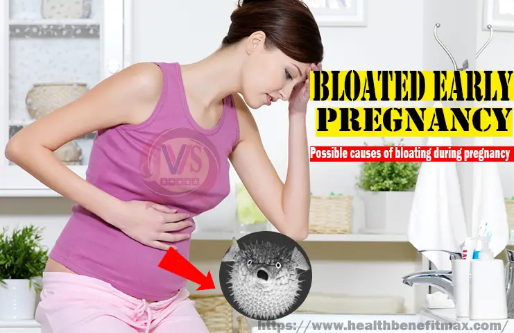 Bloated early pregnancy