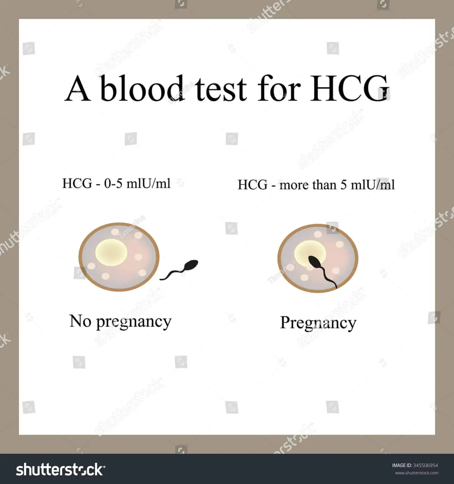 Blood Test Hcg Blood Test Pregnancy Stock Illustration 345506954 ...