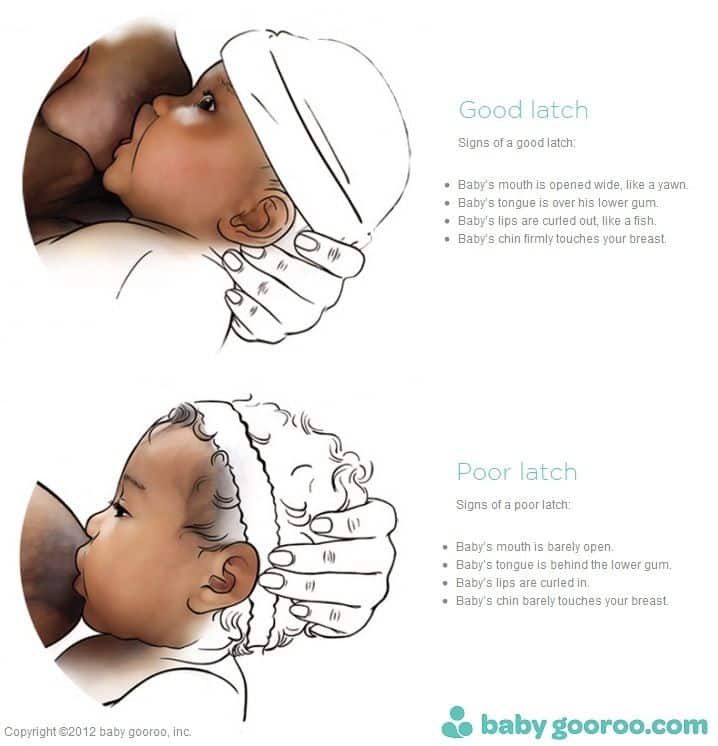 Breastfeeding Positions &  Latch
