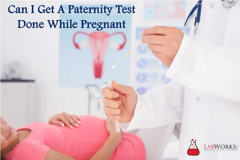 Can I Get A Paternity Test Done While Pregnant  Lab Work ...