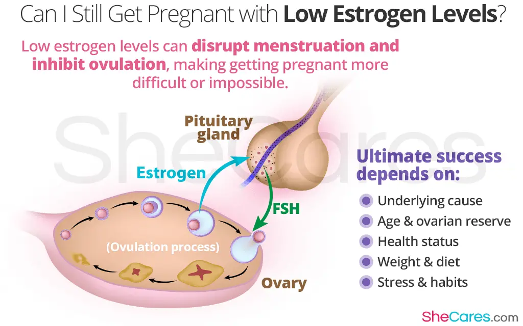 Can I Get Pregnant with Low Estrogen Levels?