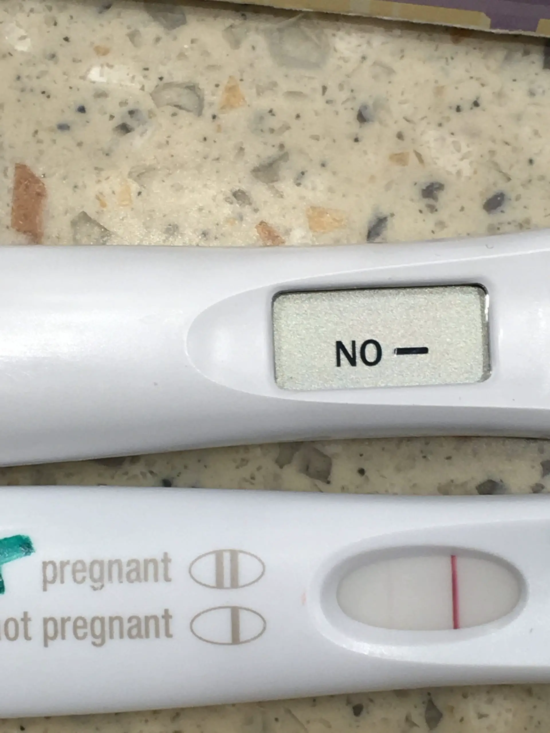 Can pregnancy test be negative and still be pregnant, MISHKANET.COM