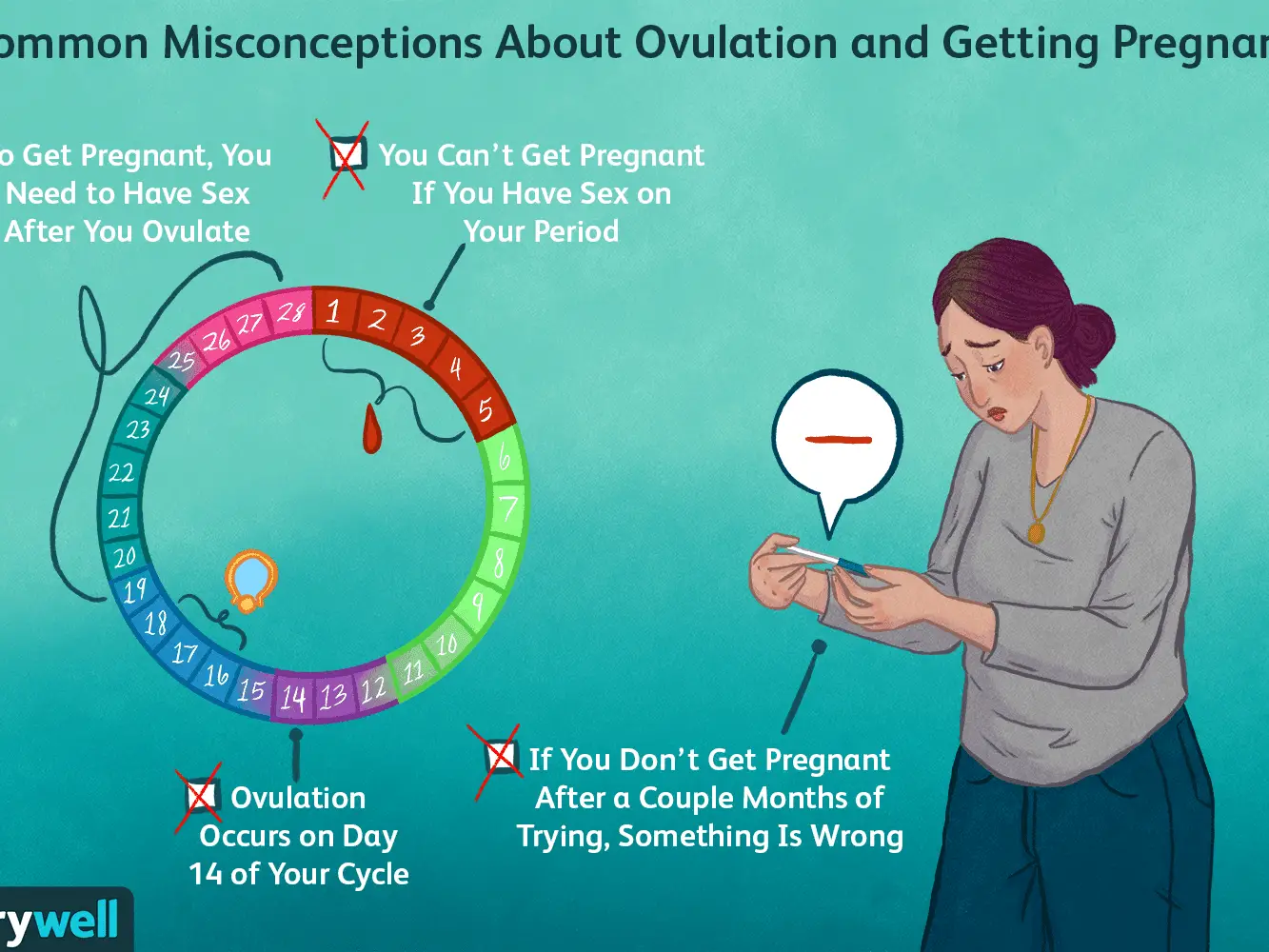 Can You Get Pregnant A Week After Ovulation