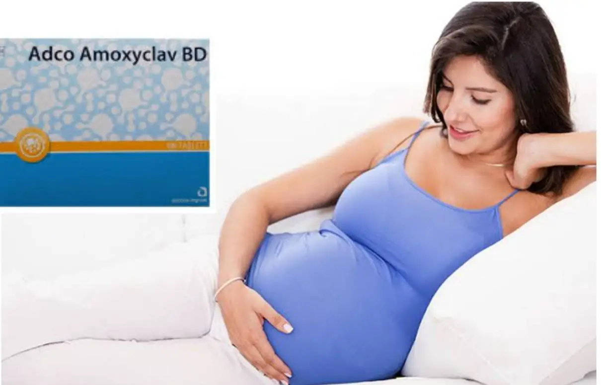 Can You Take Adco Amoxyclav BD During Pregnancy?