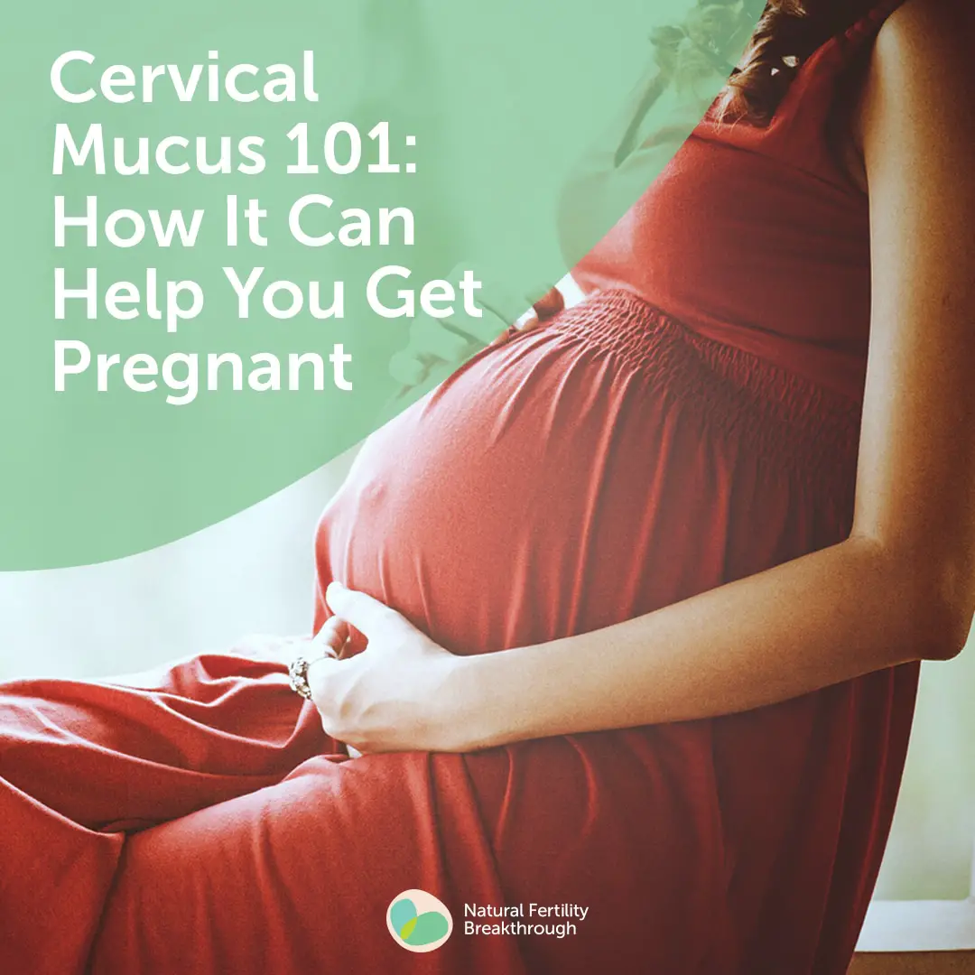 Cervical Mucus 101 And How It Can Help You Get Pregnant Fast