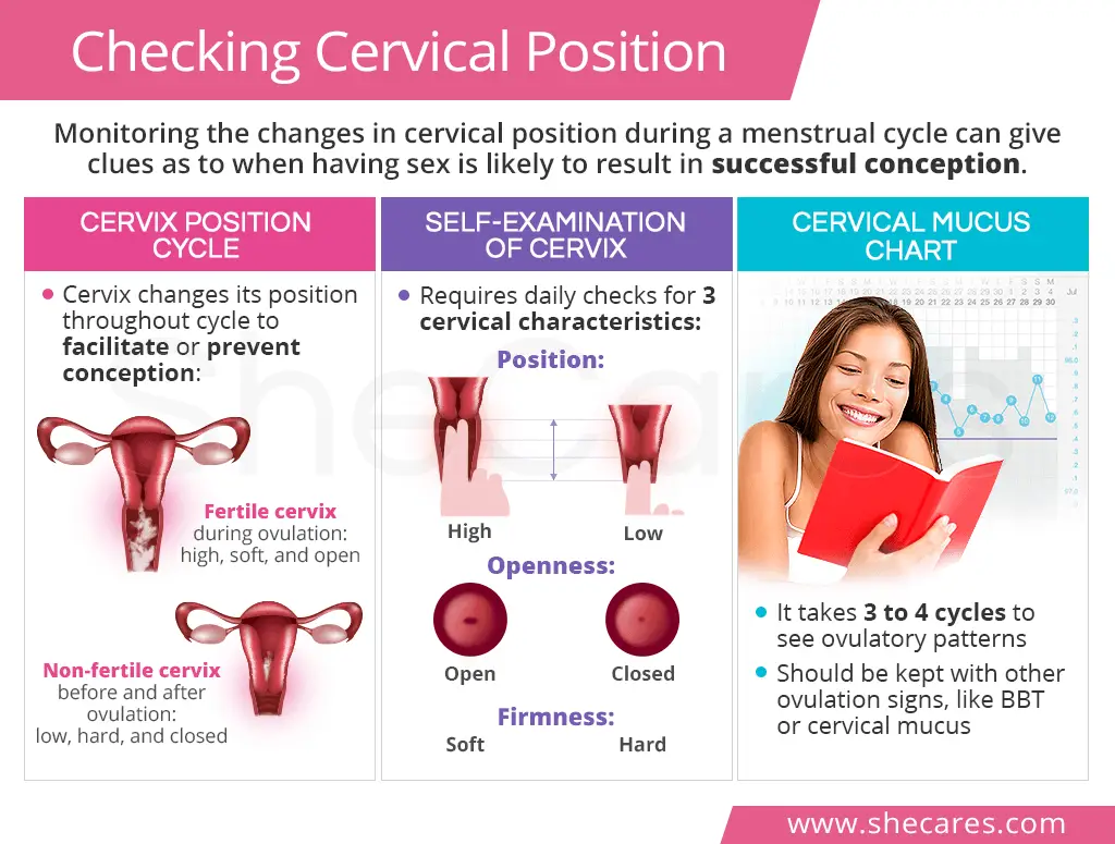 Checking Cervical Position