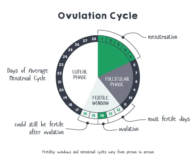 Clue: An App for Period &  Ovulation Tracking