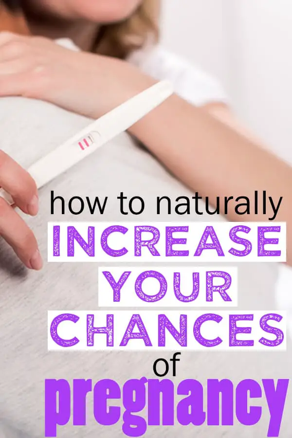 Definitive Ways to Increase Chances of Pregnancy
