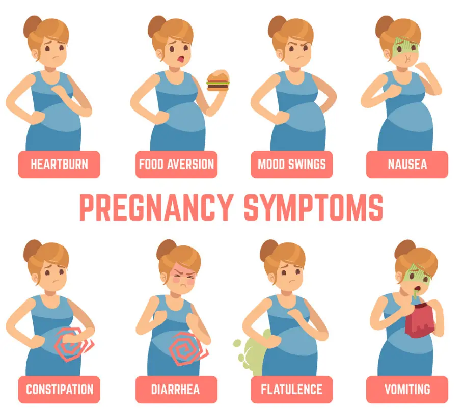 Early Pregnancy Symptoms First signs you Might be Pregnant Kid spot ...