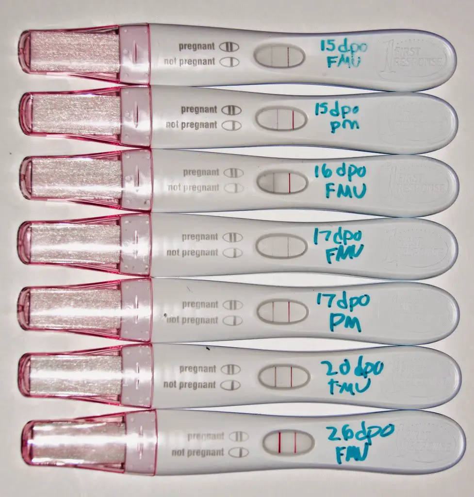 Everything About Pregnancy: What Is The Earliest Pregnancy Test For ...