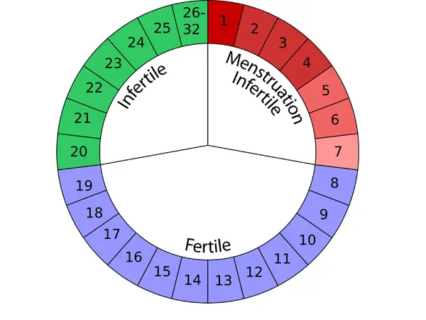 fertile Days to Conceive