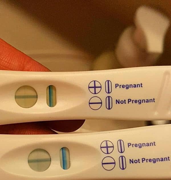 First Response Pregnancy Test 2 Lines One Faint