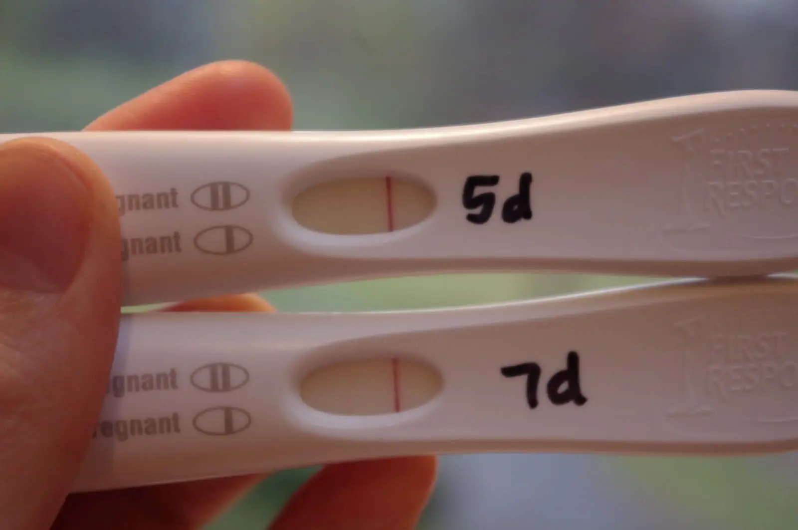 First Response Pregnancy Test  Charlie Munson  Medium