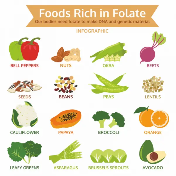 Folic acid in your diet and health of your DNA