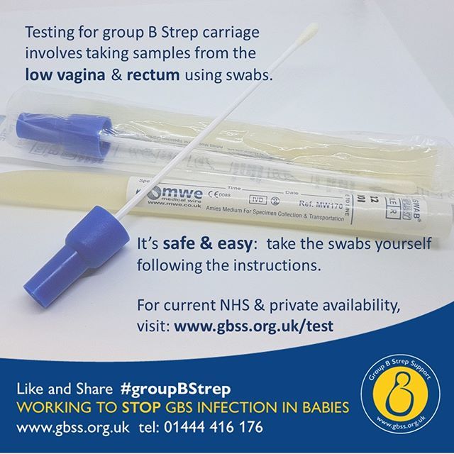 Gbs Swab Test Pregnancy