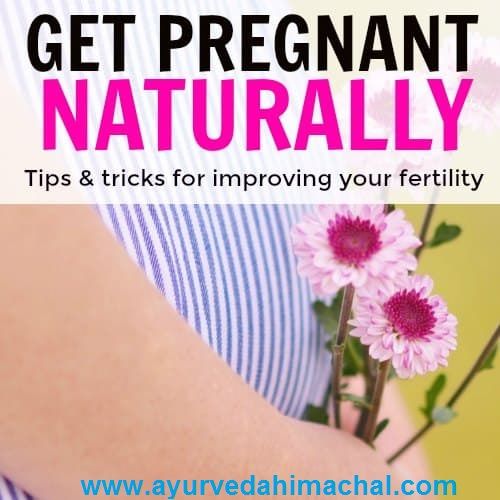 Get Pregnant Naturally with Arogyam Pure Herbs Herbal Supplements ...