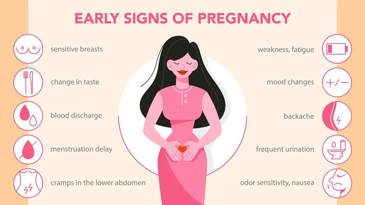 " Heavy"  Implantation Bleeding and Other Signs of Pregnancy ...