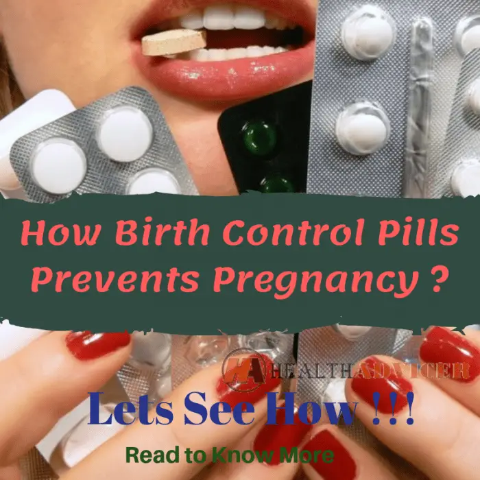 How Birth Control Pills Prevents Pregnancy : How the Pill Works