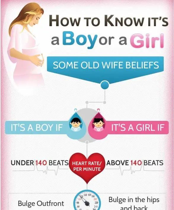 How Do You Tell If Its A Boy Or Girl