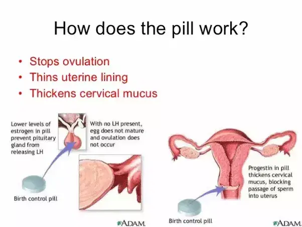 How does the abortion pill work?