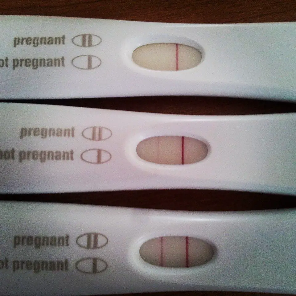 How Early Can A Pregnancy Test Read Positive  Learning How to Read