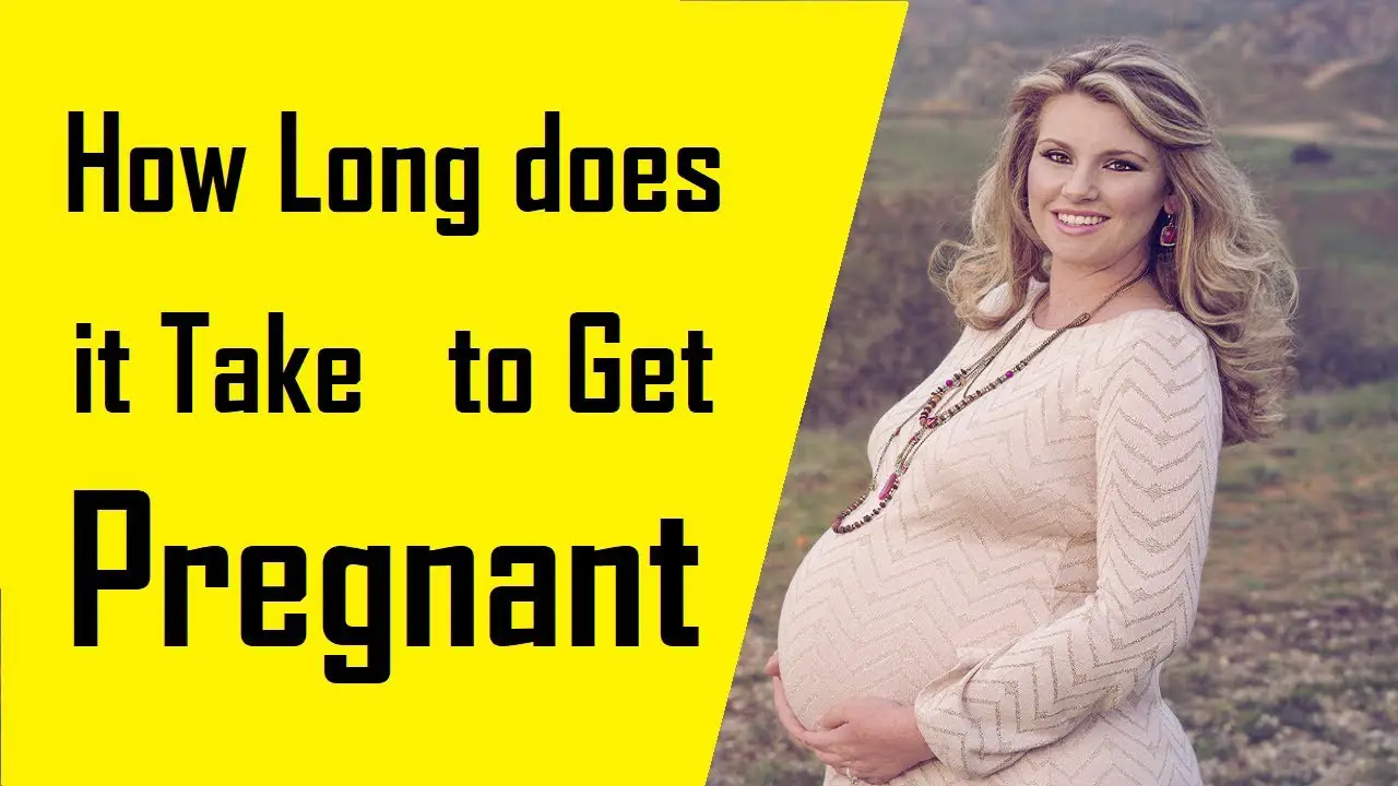 How Long does it Take to Get Pregnant
