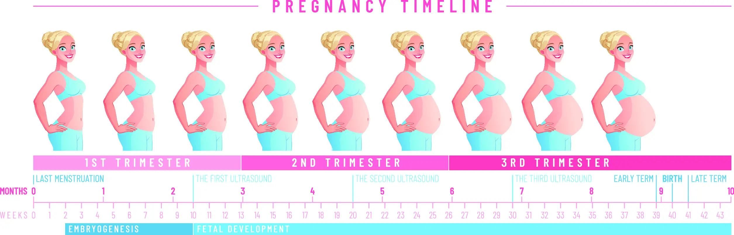 How Long Is a Trimester of Pregnancy?