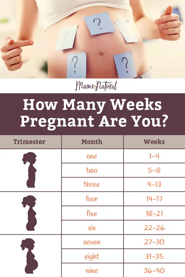 how many months is 21 weeks pregnant