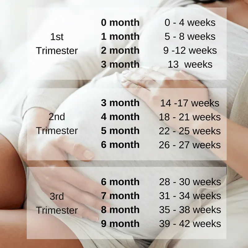 How Many Weeks In 9 Months In Pregnancy