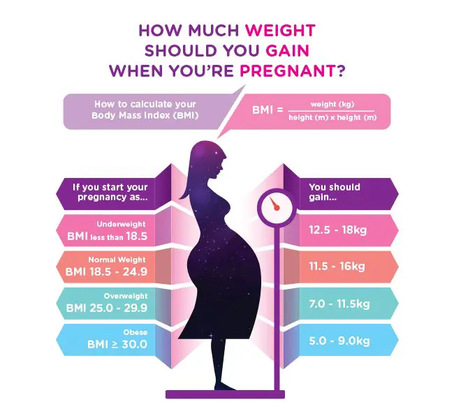 How Much Weight Should You Gain When You Are Pregnant ...
